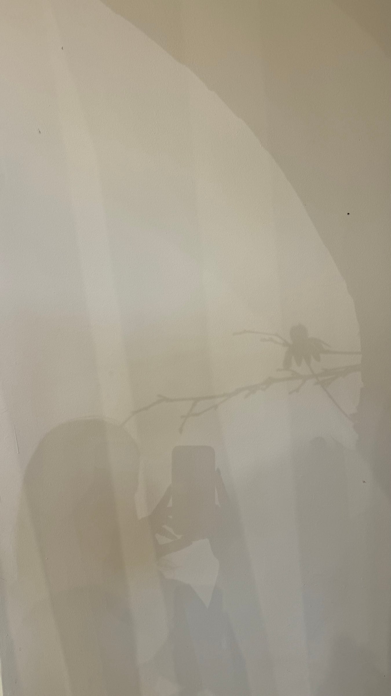 Through sheer, pale fabric: the soft shadow of a person holding up a phone, beside the shadow of a small branch.